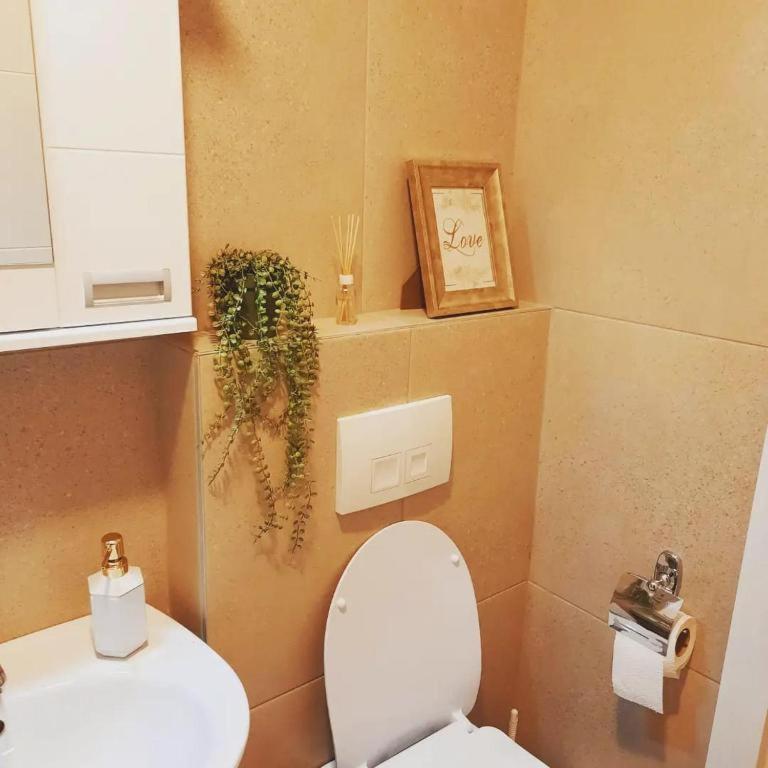 Lux Natural Vrnjačka Banja エクステリア 写真