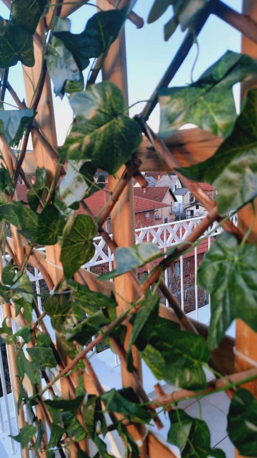 Lux Natural Vrnjačka Banja エクステリア 写真